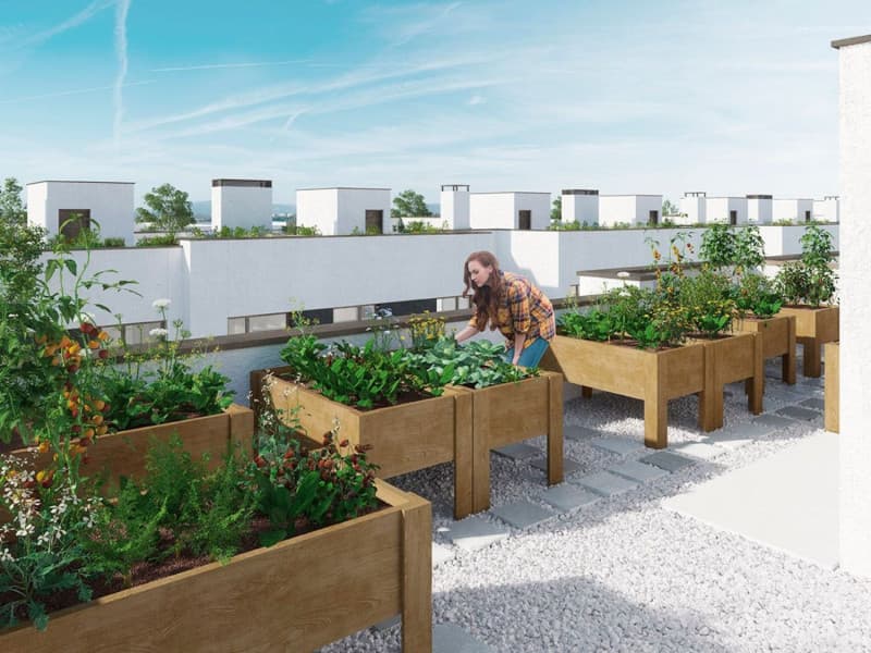 Obra nueva Villas de los Molinos en Getafe (Revista) photo 5