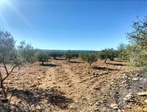 Terreno en venta en Navarrés photo 1