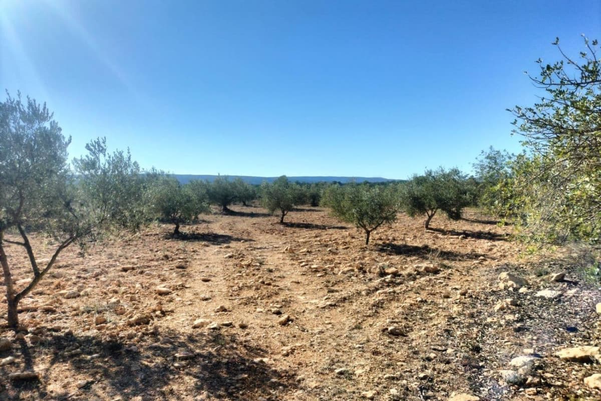Terreno en venta en Navarrés, Valencia photo 2