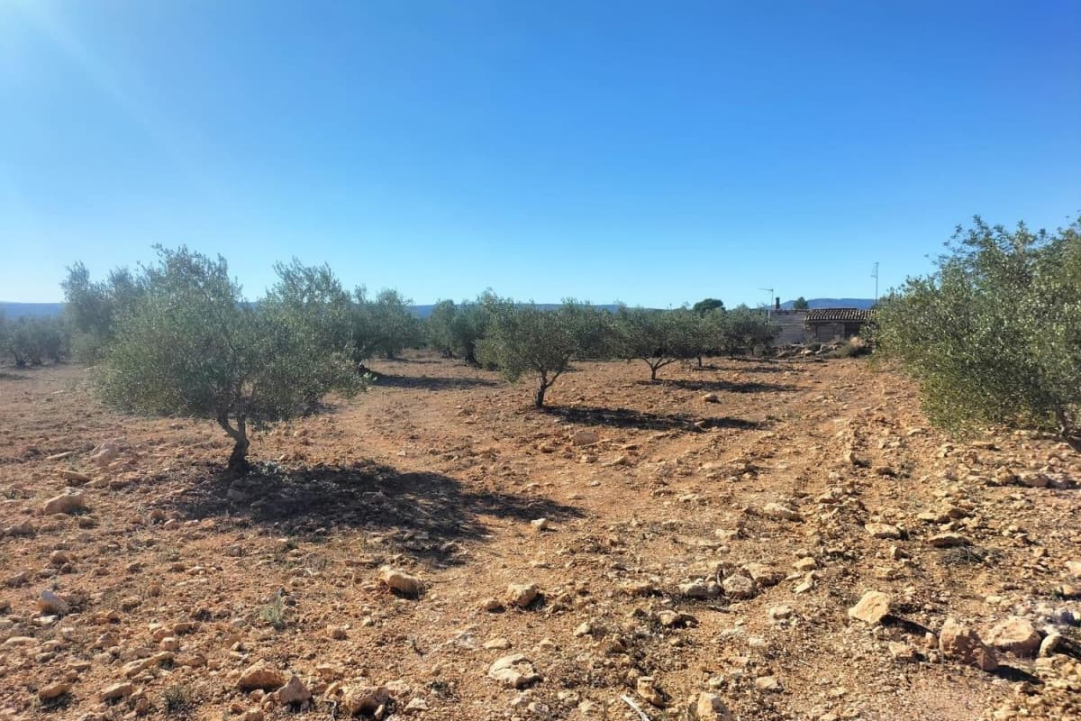 Terreno en venta en Navarrés, Valencia photo 3
