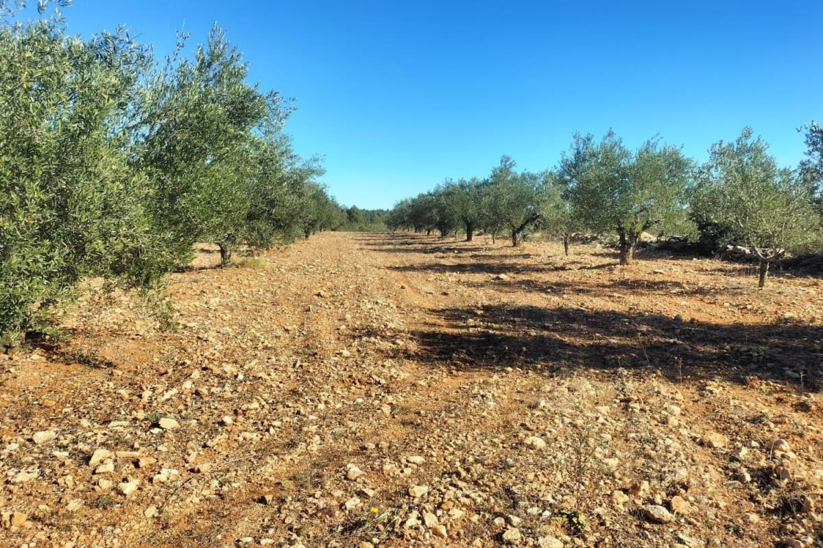 Terreno en venta en Navarrés, Valencia photo 4