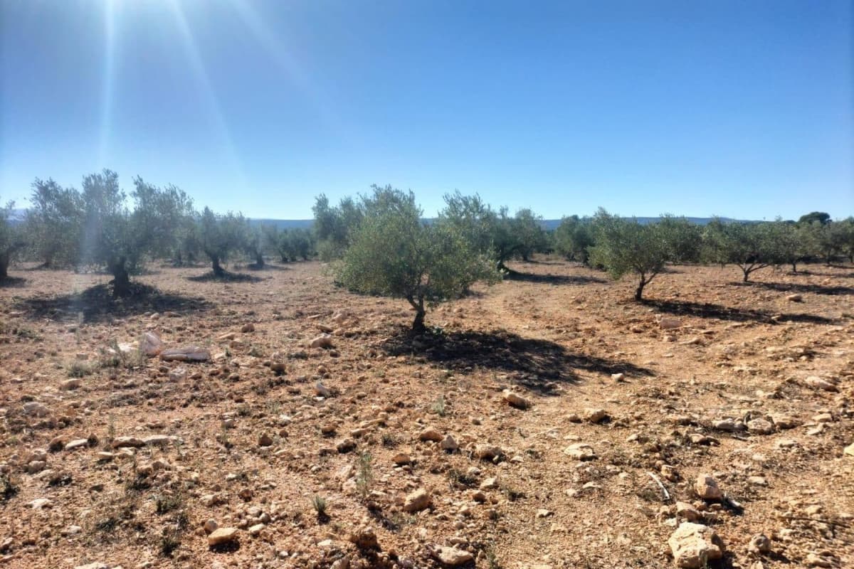 Terreno en venta en Navarrés, Valencia photo 5