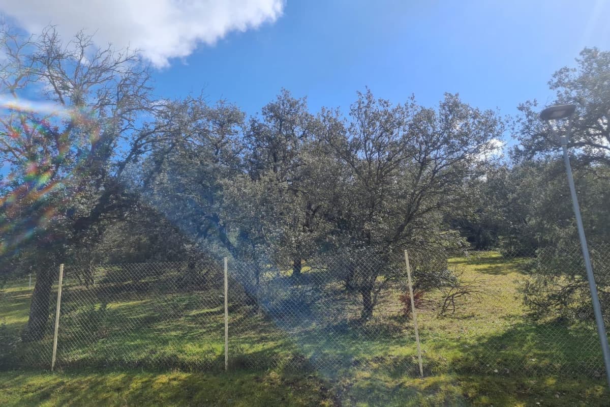 Terreno en venta en San Roman de los Montes, Toledo photo 3