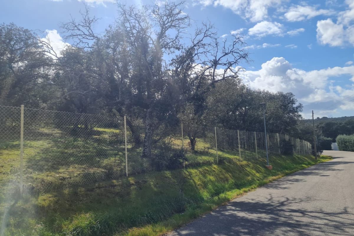 Terreno en venta en San Roman de los Montes, Toledo photo 4