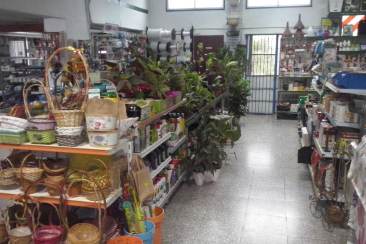 Propiedades en venta y alquiler en España photo 4