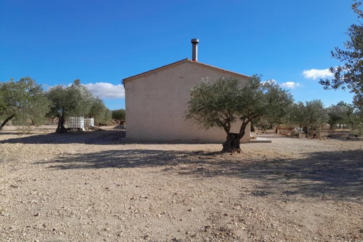 Property photo 4