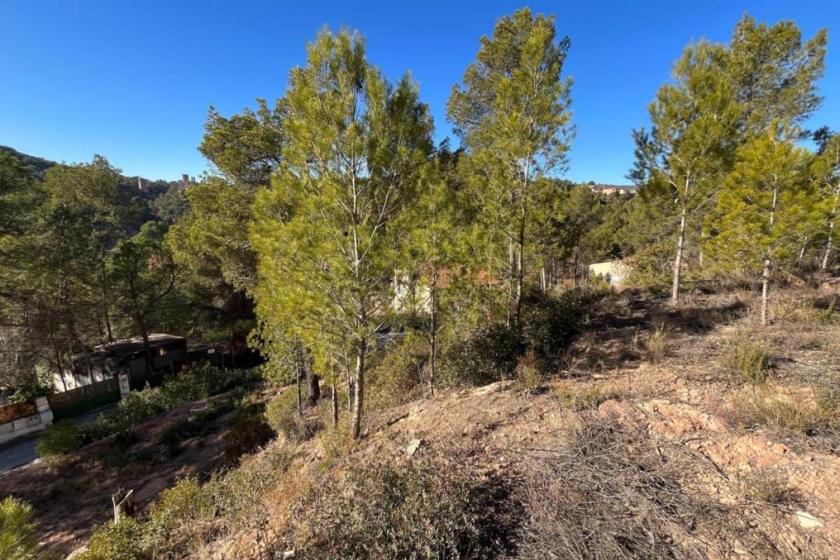 Terreno en venta en Fonollosa, Barcelona photo 4