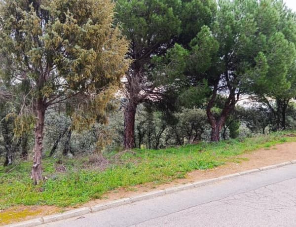 GRAN OPORTUNIDAD!! PARCELA DE 880 M2 A 40 MINUTOS DE MADRID photo 1