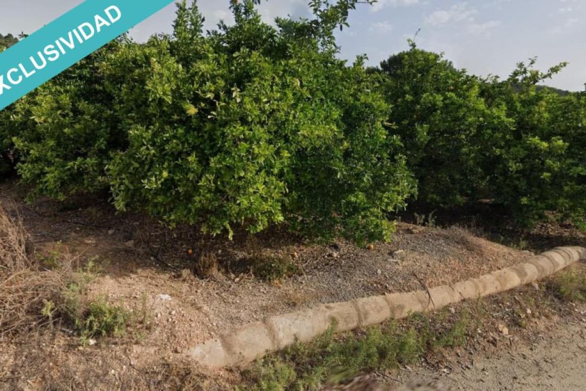 Terreno en venta en Sellent, Valencia photo 2