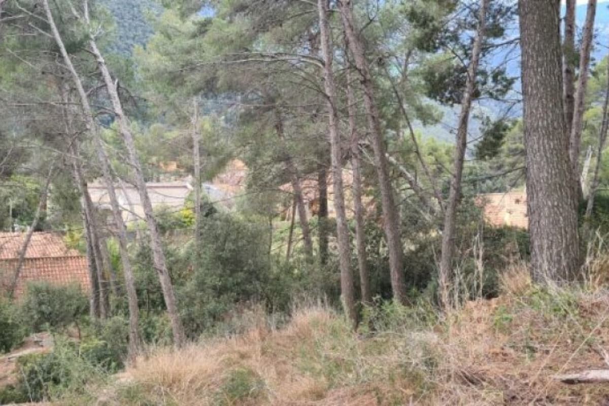 Terreno en venta en Ametlla Del Valles, L, Barcelona photo 4