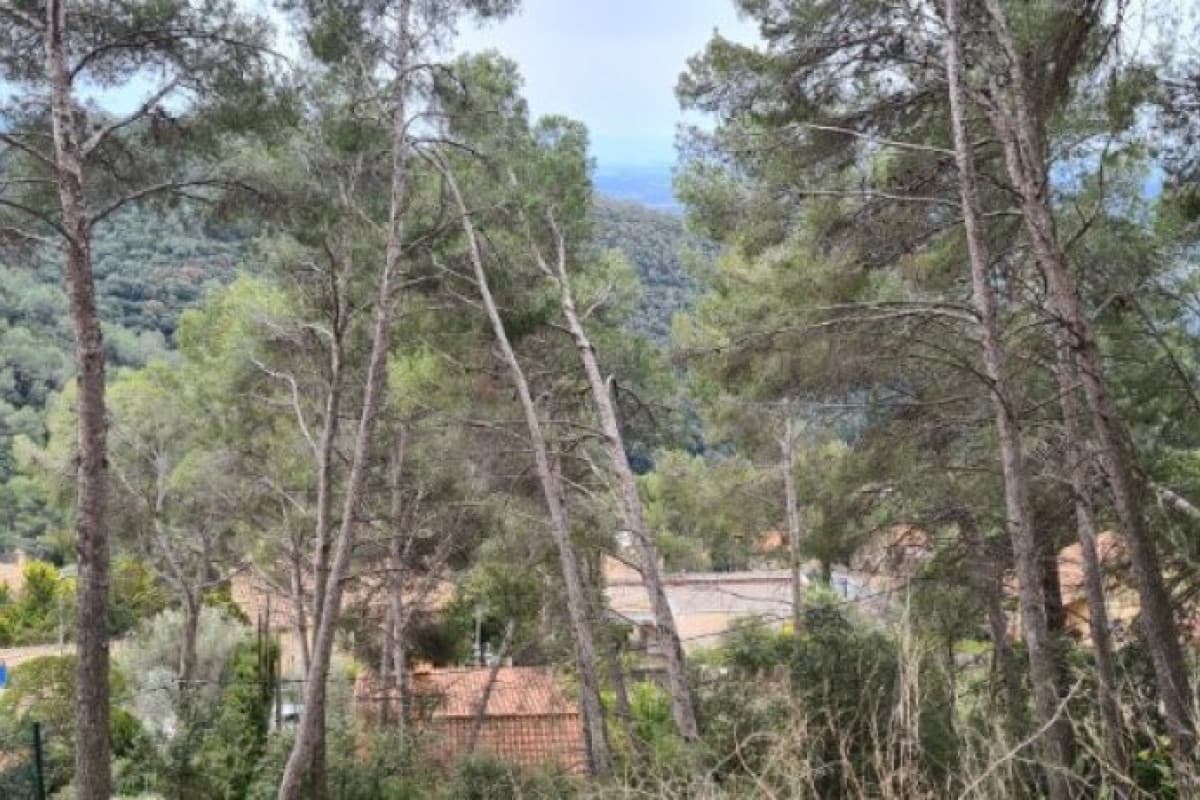 Terreno en venta en Ametlla Del Valles, L, Barcelona photo 5