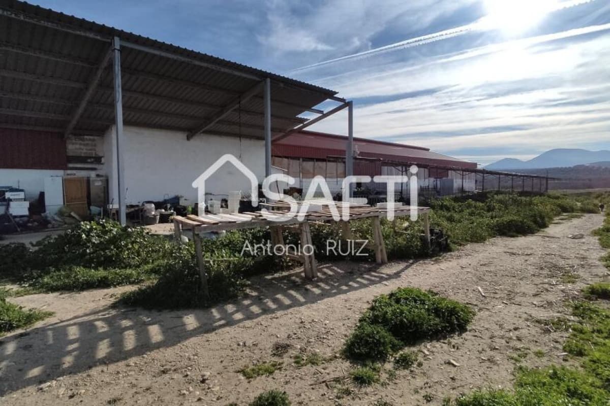 Property photo 5