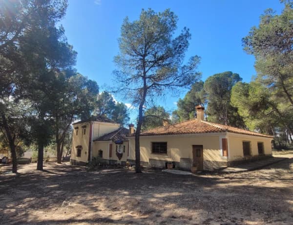 EXCELENTE OPORTUNIDAD!. FINCA AGRICOLA EN ONTINYENT CON GRAN VIVIENDA RENOVADA thumbnail 1