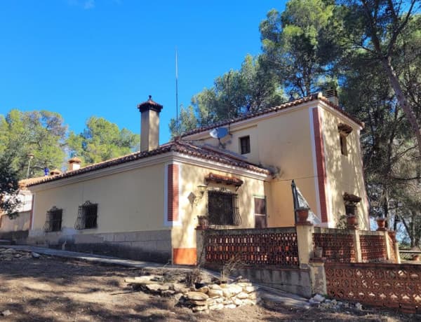 EXCELENTE OPORTUNIDAD!. FINCA AGRICOLA EN ONTINYENT CON GRAN VIVIENDA RENOVADA thumbnail 2