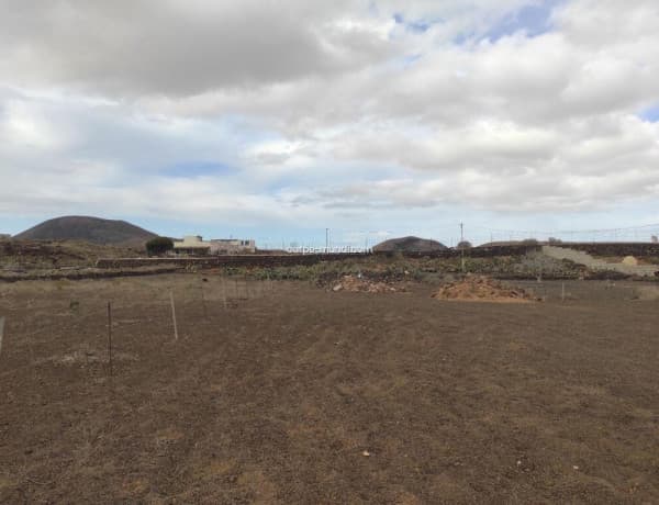 ¡OPORTUNIDAD! Terreno en La Oliva photo 4