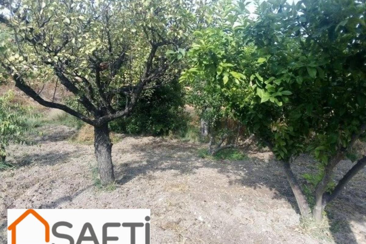 Dos casas por el precio de una, cerca de Fortuna., Garapacha, La
photo 3