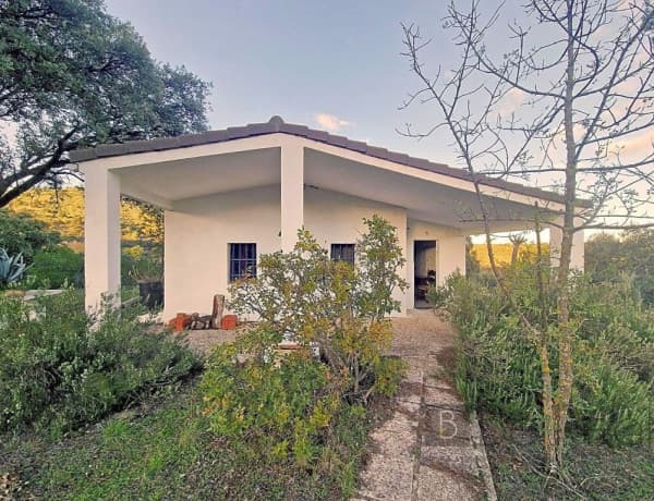IMPRESIONANTE TERRENO DE 60 HECTÁREAS CON CASA RÚSTICA EN VALDEMORILLO, MADRID. thumbnail 1