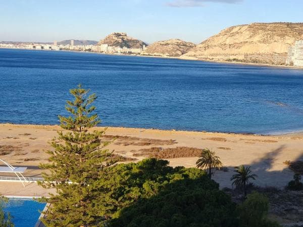 Piso en venta en Avenida de la Costa Blanca, Alicante / Alacant thumbnail 1