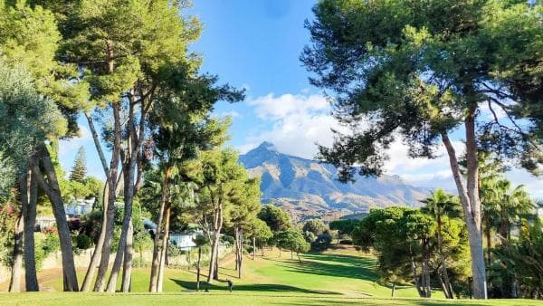 Chalet independiente en venta en Avenida del Golf, Marbella photo 1