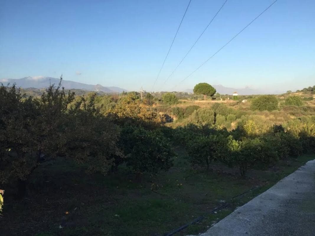 Venta de chalet independiente en Camino Alberdina, Estepona
photo 3