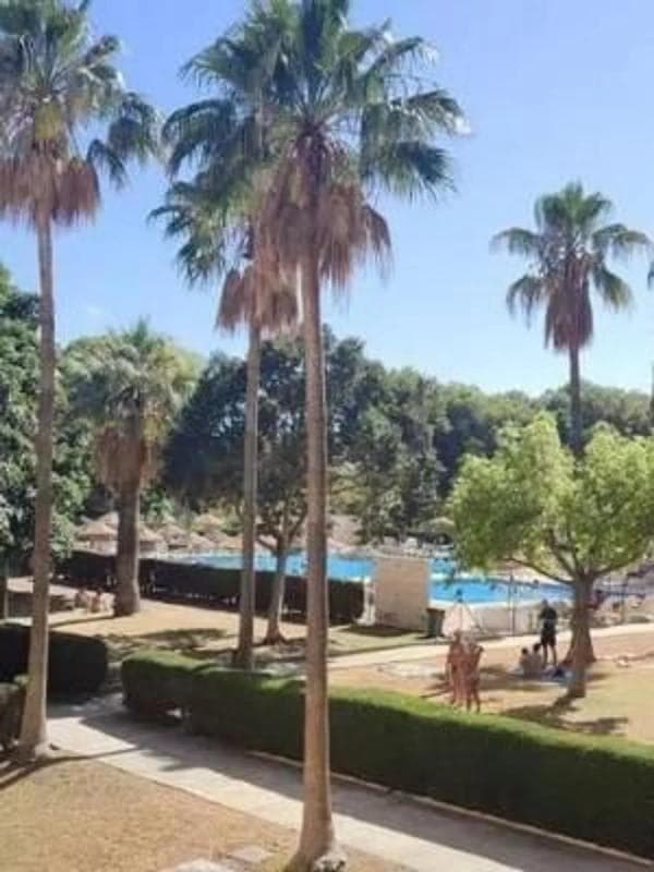 Sprzedaż studia w Avenida gamonal, Benalmádena photo 5
