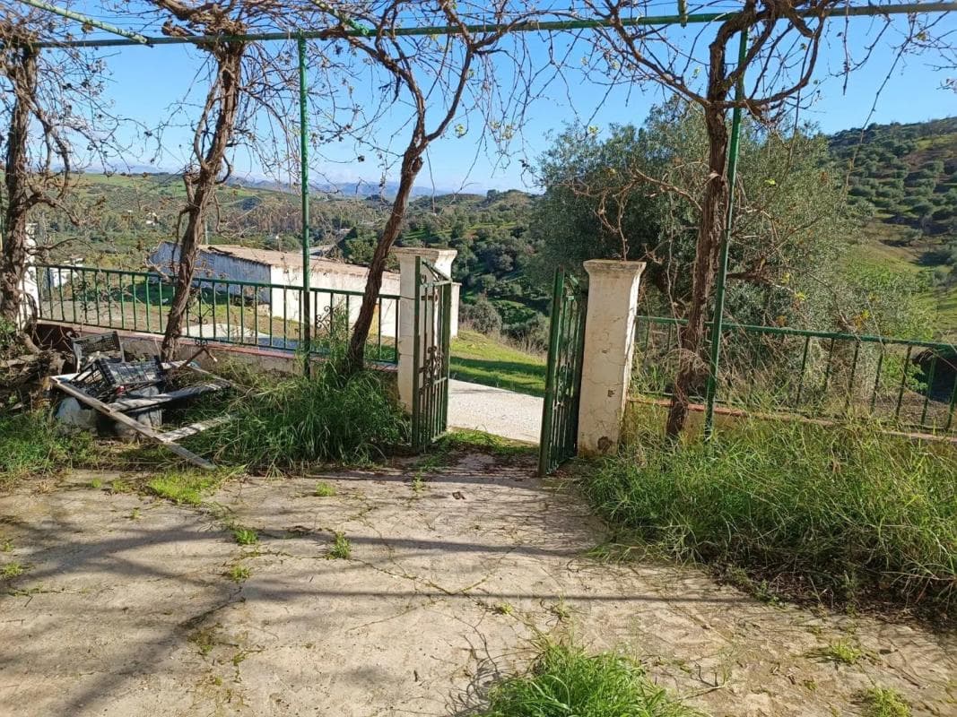 Casa independiente, Guaro
photo 4