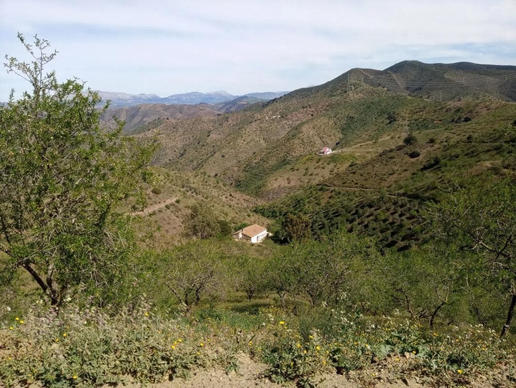 Casa independiente en Diseminado Diseminados, 1078, Almogía
photo 3