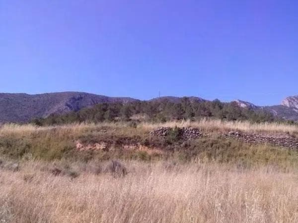 Terreno en Partida Umbria Baja de Algayat thumbnail 1
