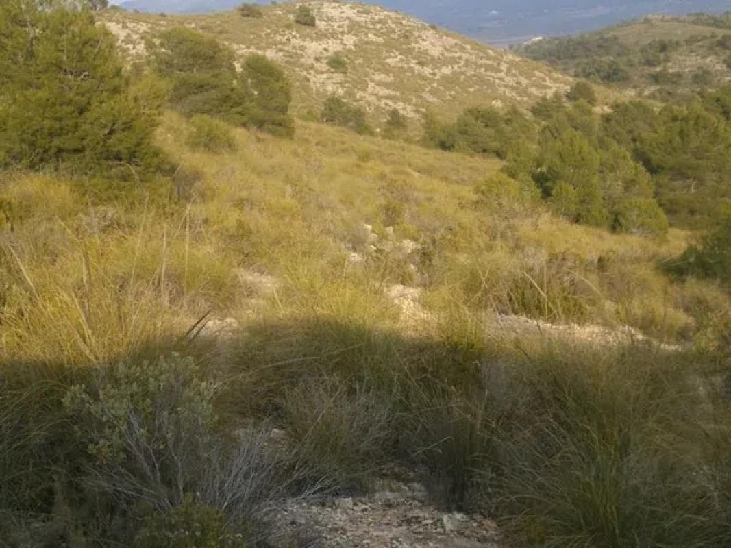 Terreno en venta en Villena, Alicante photo 2