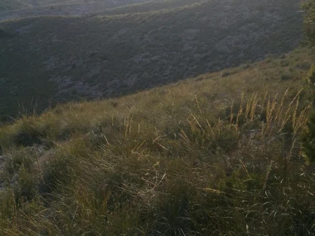 Terreno en venta en Villena, Alicante photo 5