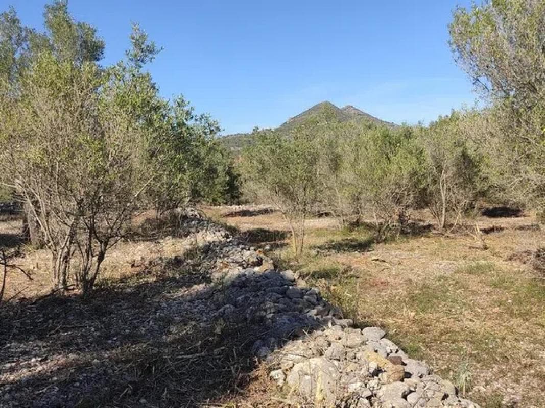 Terreno en venta en Alcalalí, Alicante photo 3