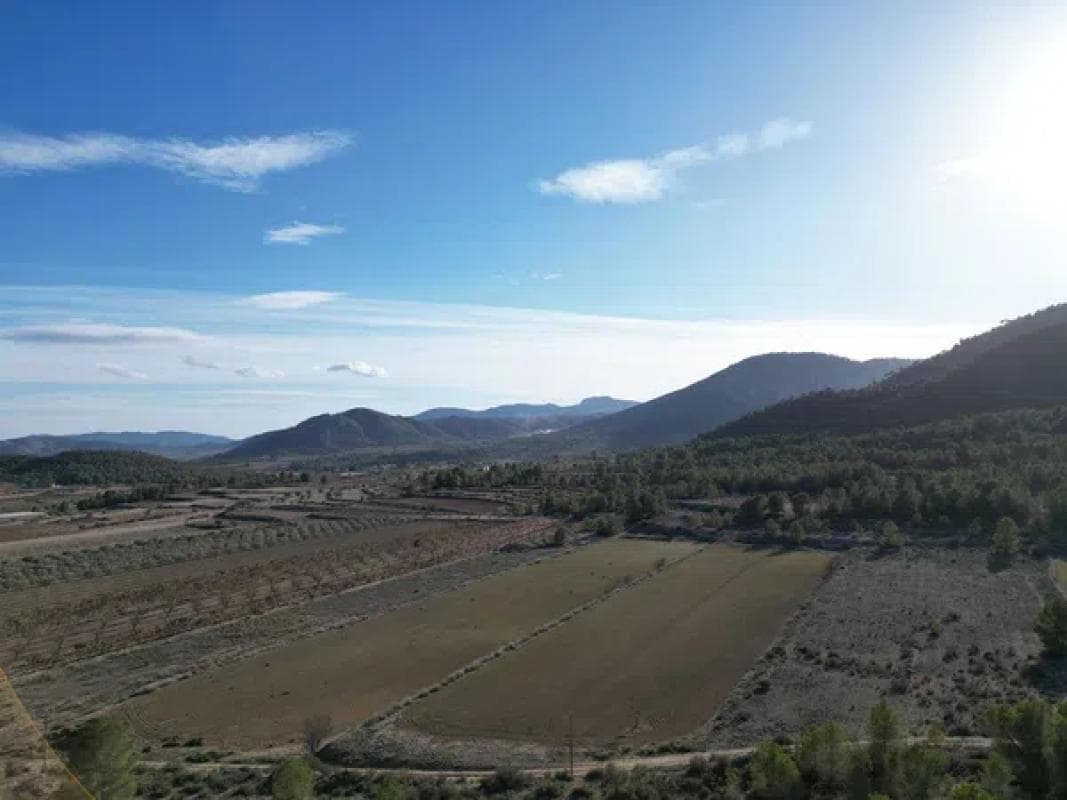 Terreno en venta en Monovar, Alicante photo 4