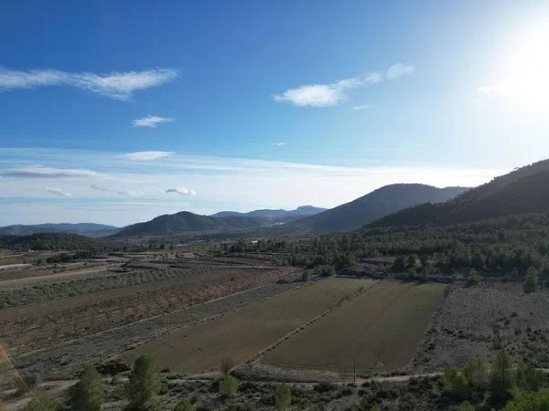 Terreno en venta en Monovar, Alicante photo 5