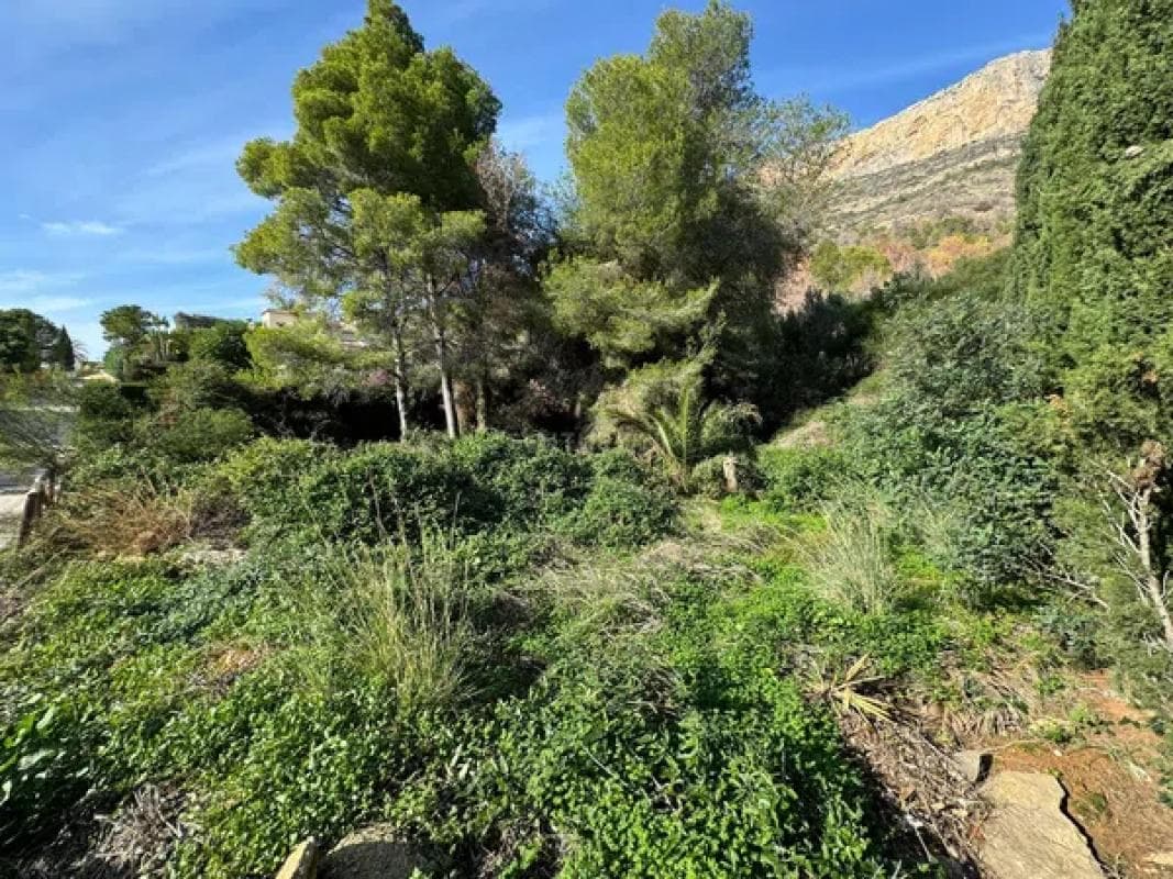 Property photo 4
