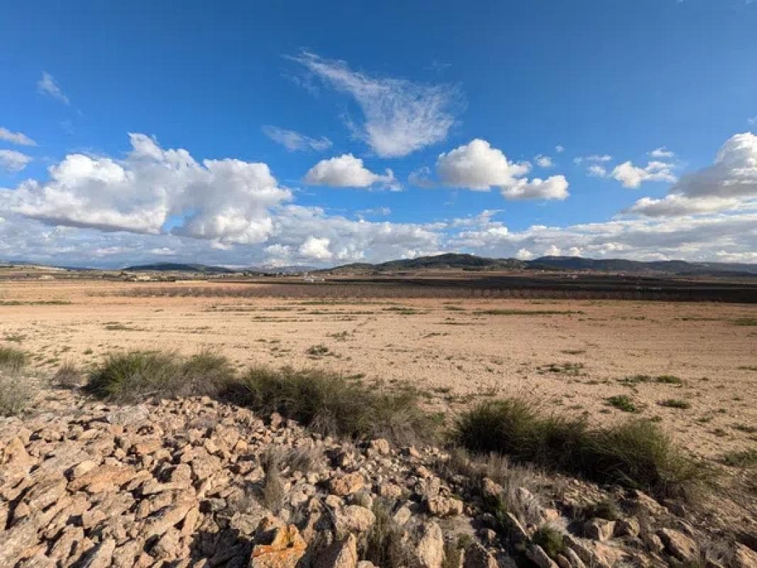 Terreno en venta en Pinoso, Alicante photo 2