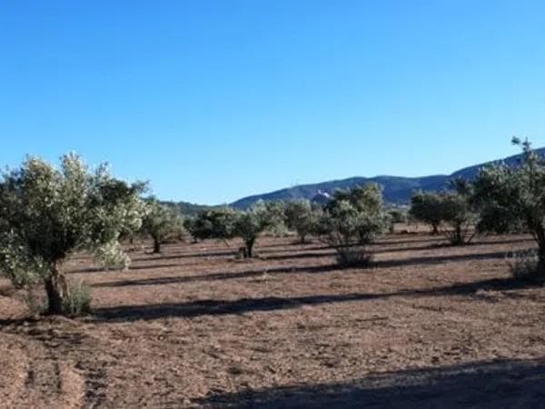 Terreno en Biar photo 2