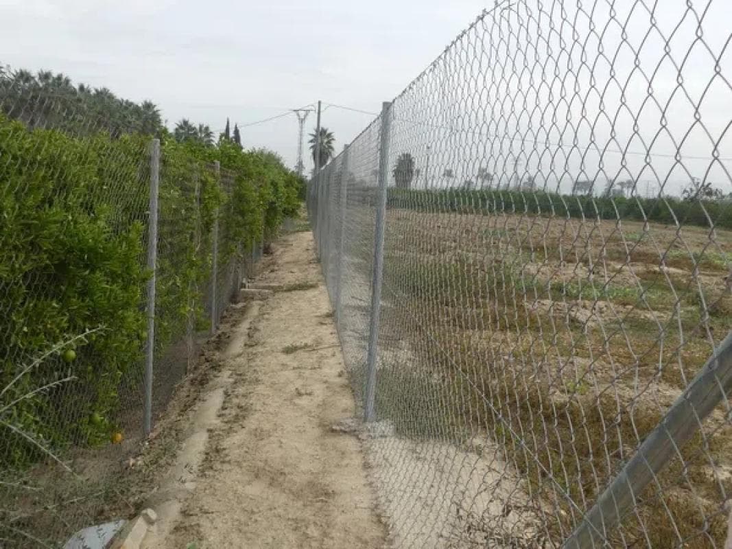 Terreno en venta en Jacarilla, Alicante photo 4