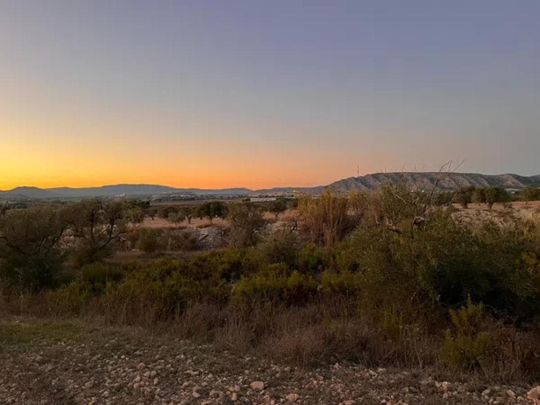 Terreno en venta en Villena, Alicante photo 3