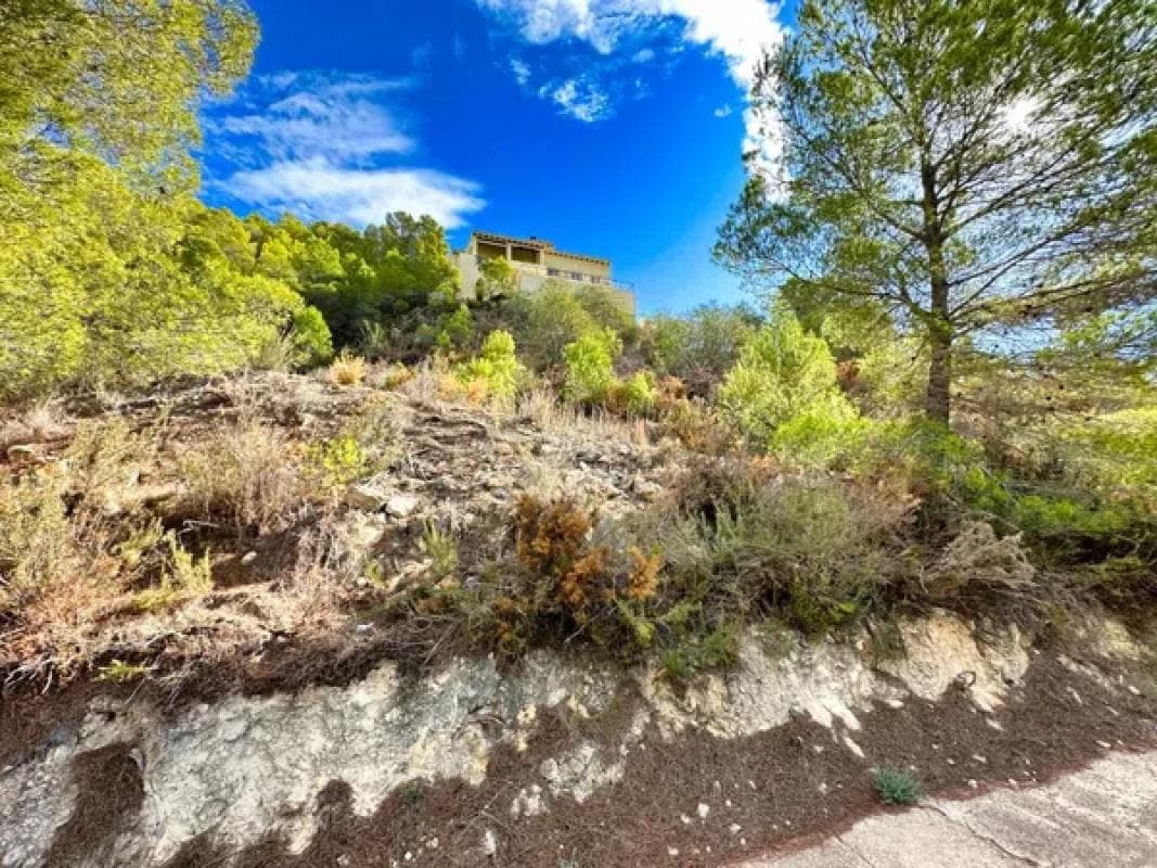 Property photo 3
