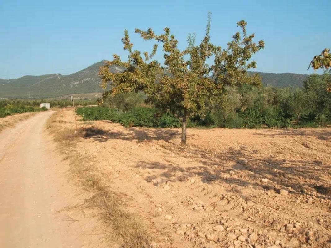 Terreno en venta en Biar, Alicante photo 3