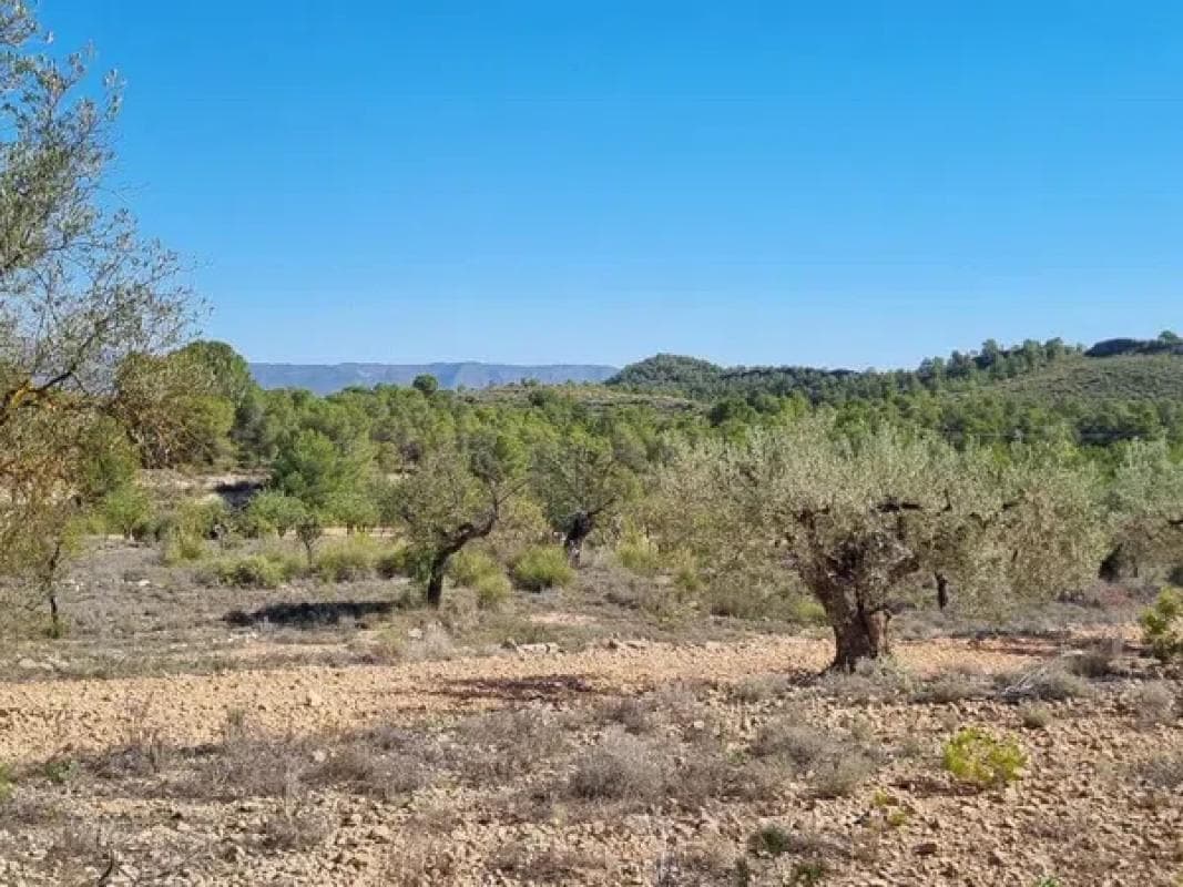 Terreno en venta en Monovar, Alicante photo 5
