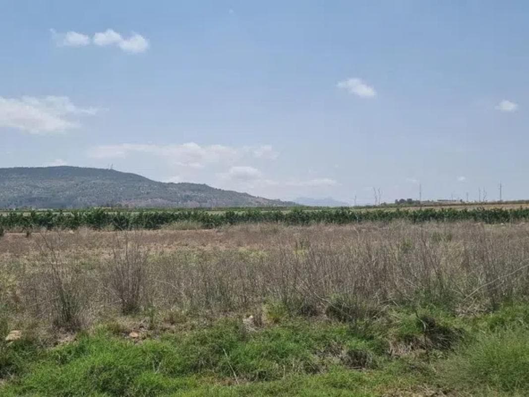 Terreno en venta en Pinoso, Alicante photo 2
