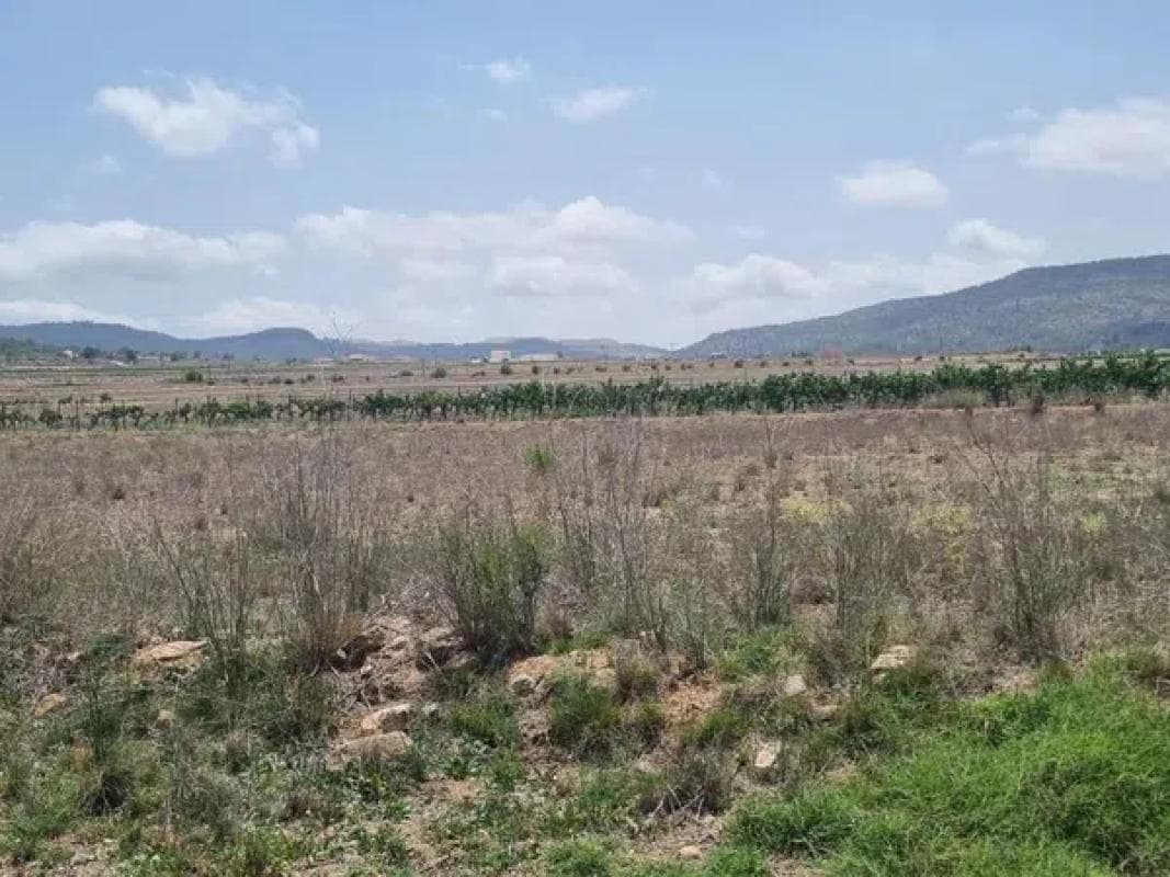 Terreno en venta en Pinoso, Alicante photo 4