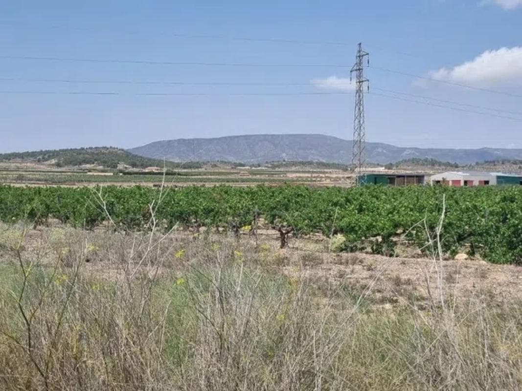 Terreno en venta en Pinoso, Alicante photo 5
