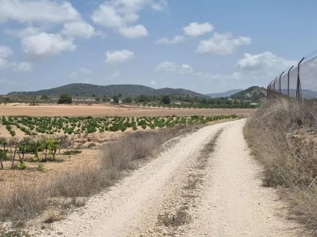 Terreno en venta en Pinoso, Alicante photo 5