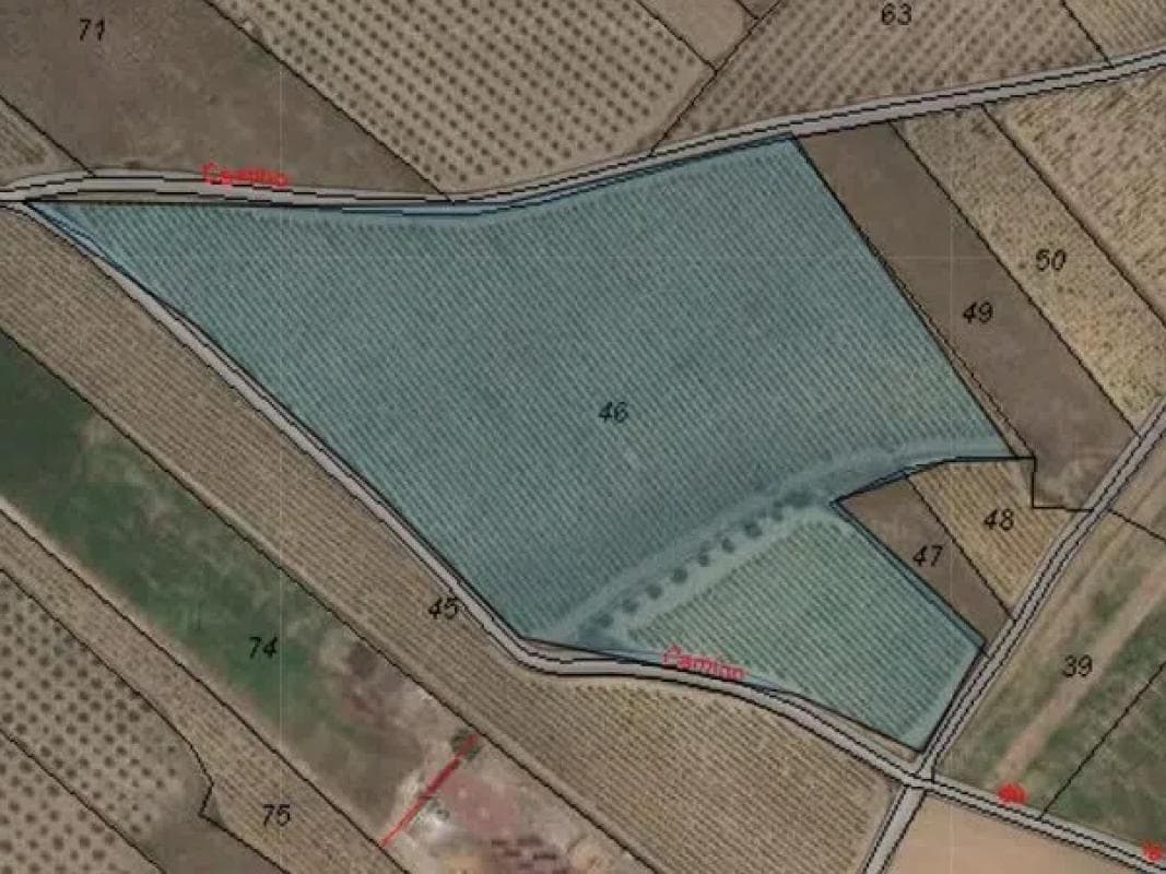 Terreno en venta en Monovar, Alicante photo 4