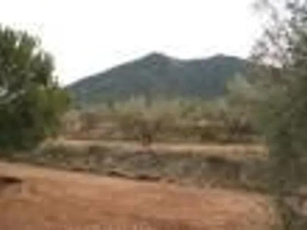 Terreno en venta en Biar, Alicante photo 3