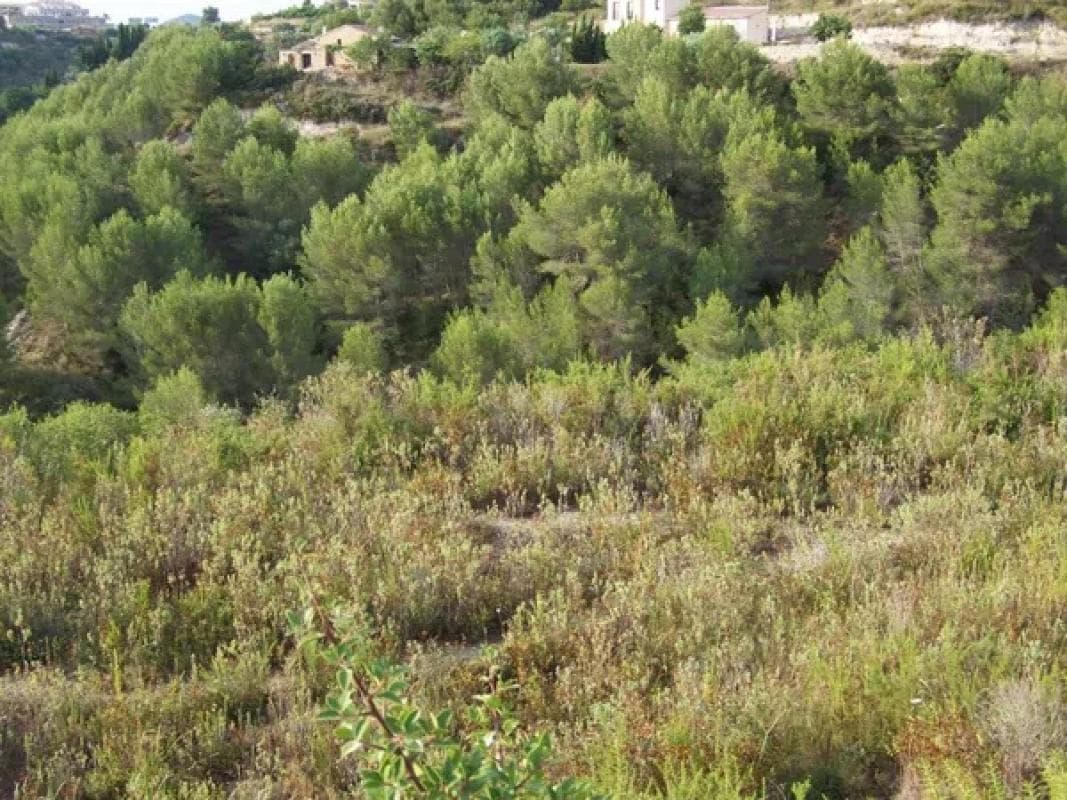 Terreno en venta en Benissa, Alicante photo 2