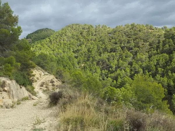 Product photo 1