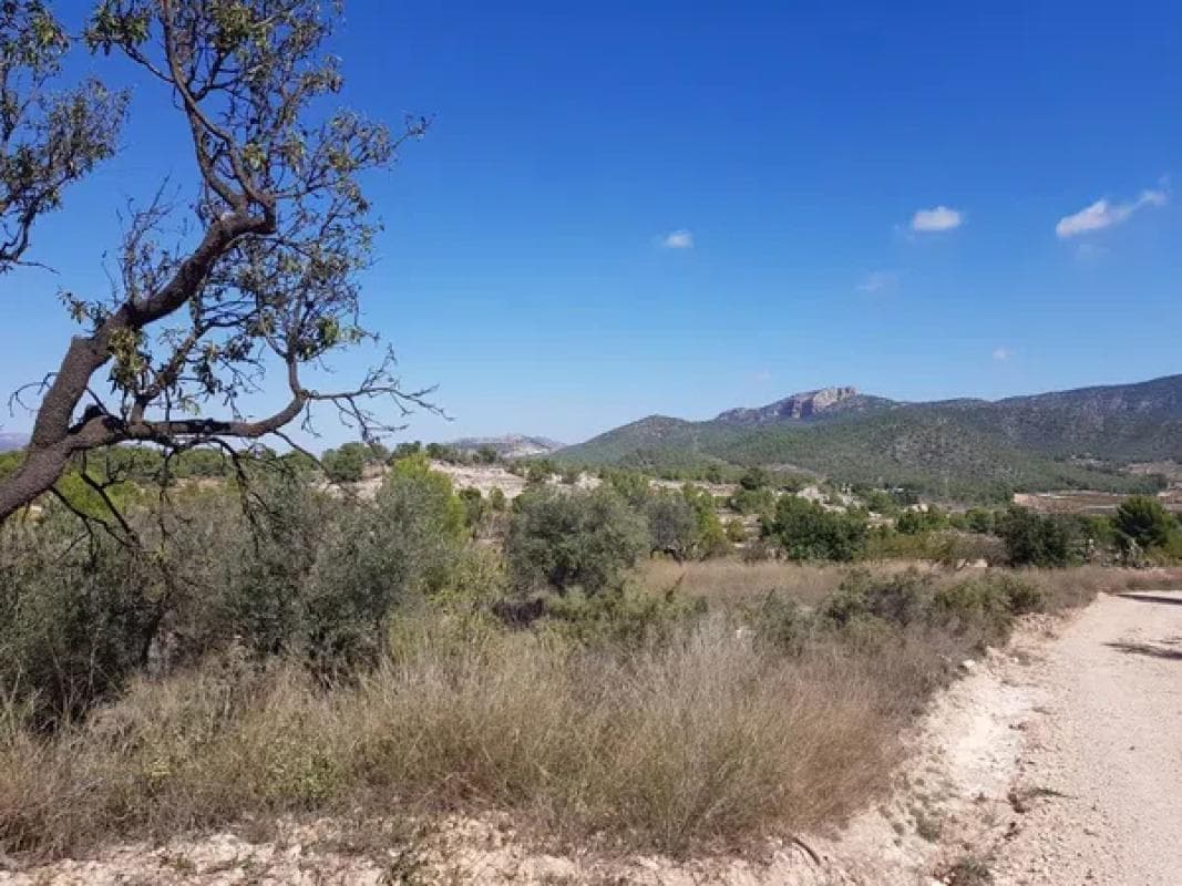 Terreno en venta en Monovar, Alicante photo 5